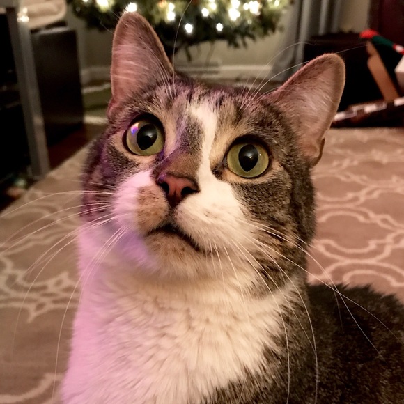 Meet your Posher! - Picture 3 of 5